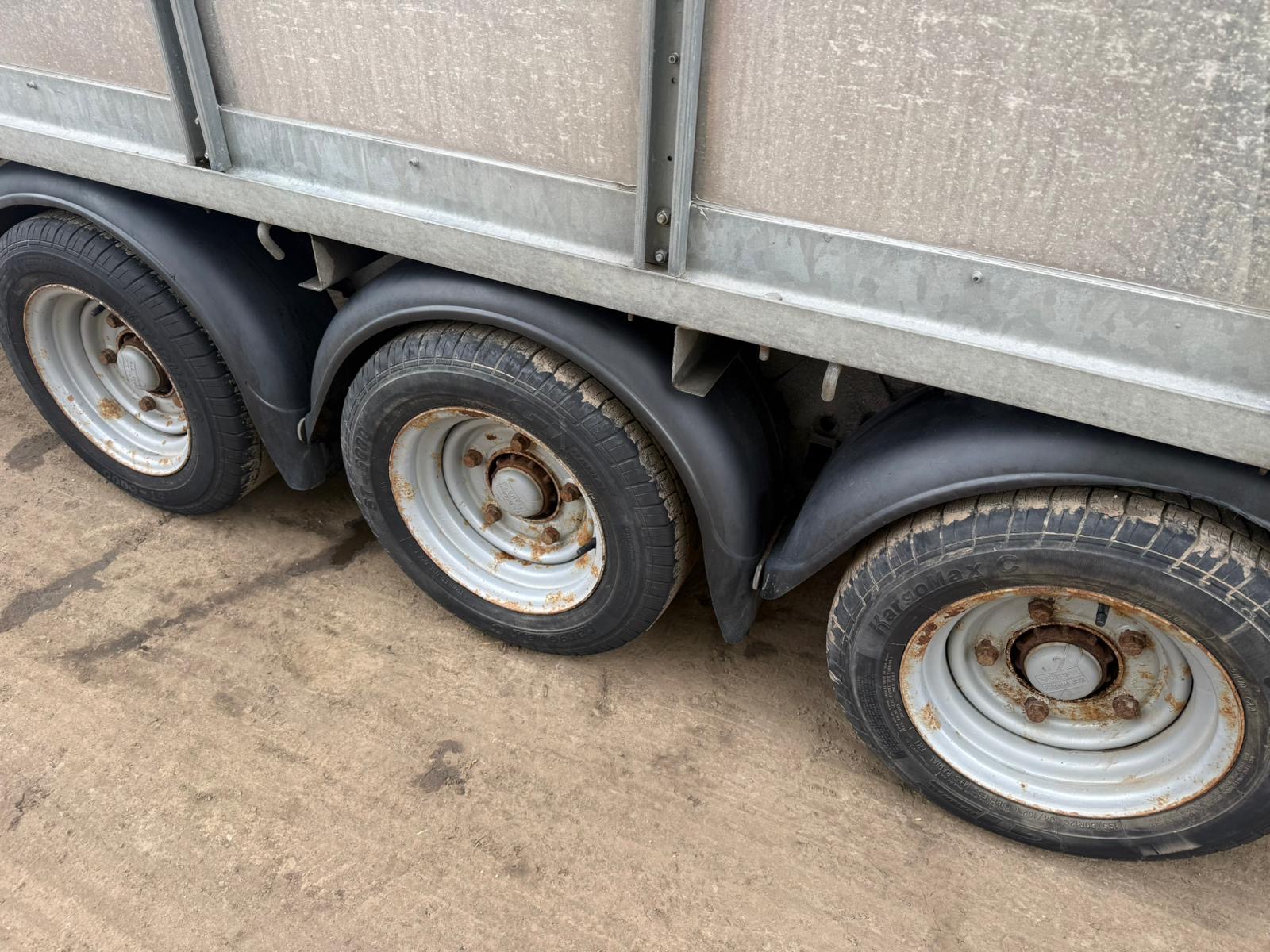 IFOR WILLIAM 14ft TRI AXLE LIVESTOCK TRAILER - Image 10