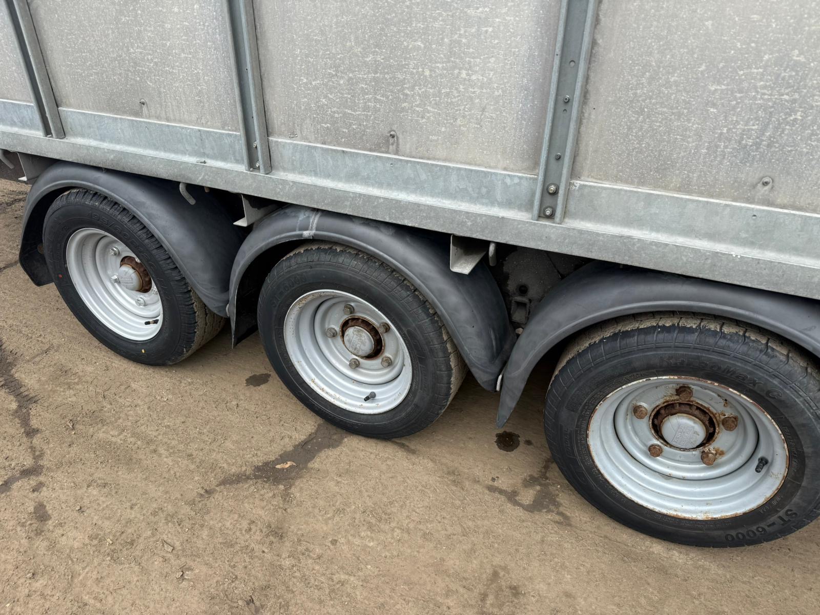 IFOR WILLIAM 14ft TRI AXLE LIVESTOCK TRAILER - Image 12