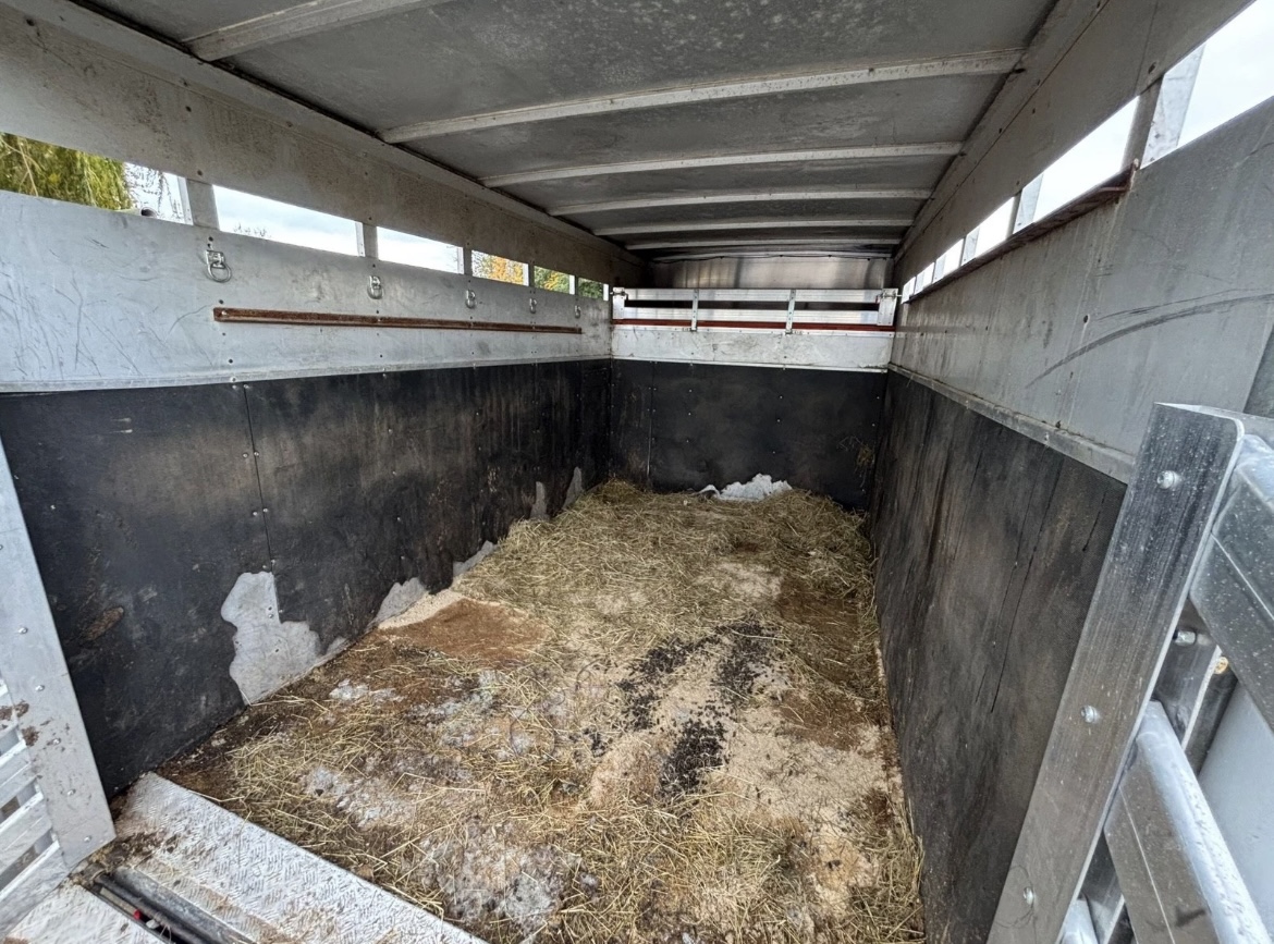 VOLKSWAGEN CRAFTER CR50 TWIN WHEEL HORSE BOX LORRY - Image 11